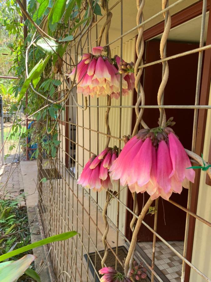 Spring Homestead Howard Springs المظهر الخارجي الصورة